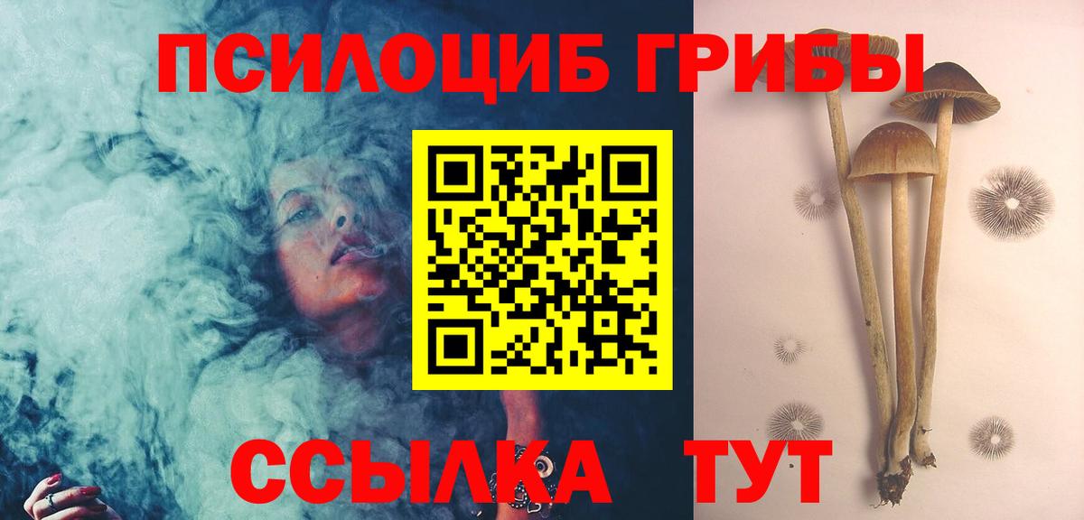 Псилоцибиновые грибы мицелий Валуйки